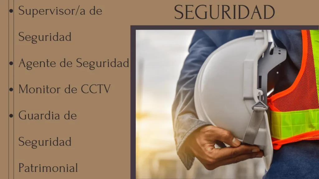 SEGURIDAD (1)